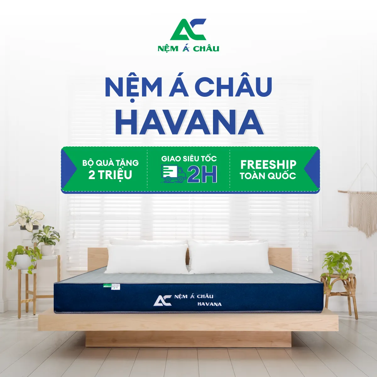 Sản phẩn Nệm Nệm Á Châu Nệm Foam Á Châu Havana