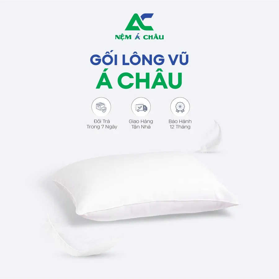 Sản phẩm Phụ Kiện Nệm Á Châu Gối Lông Vũ Á Châu