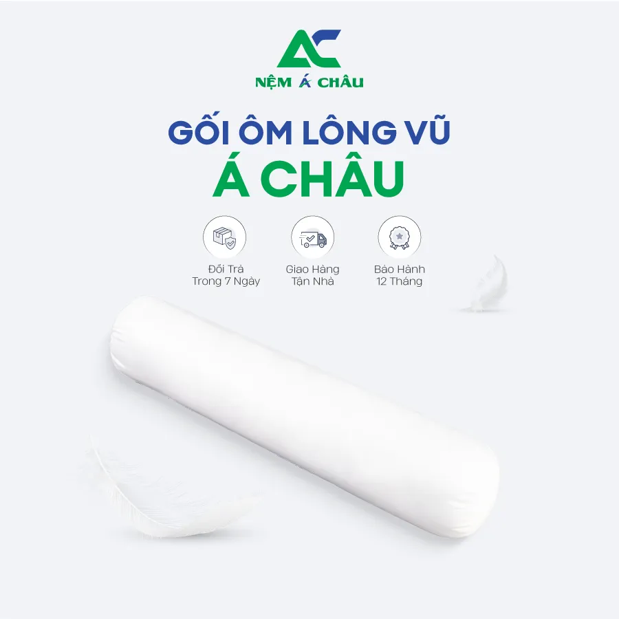 Sản phẩm Phụ Kiện Nệm Á Châu Gối Ôm Lông Vũ Á Châu