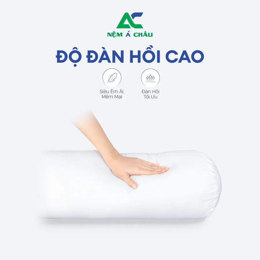 Chi tiết sản phẩm - Gối Ôm Bông Gòn Á Châu 1
