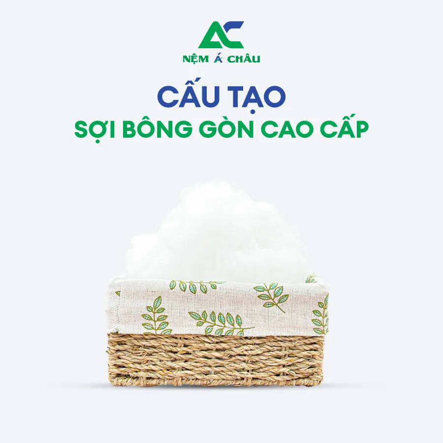 Chi tiết sản phẩm - Gối Ôm Bông Gòn Á Châu 4