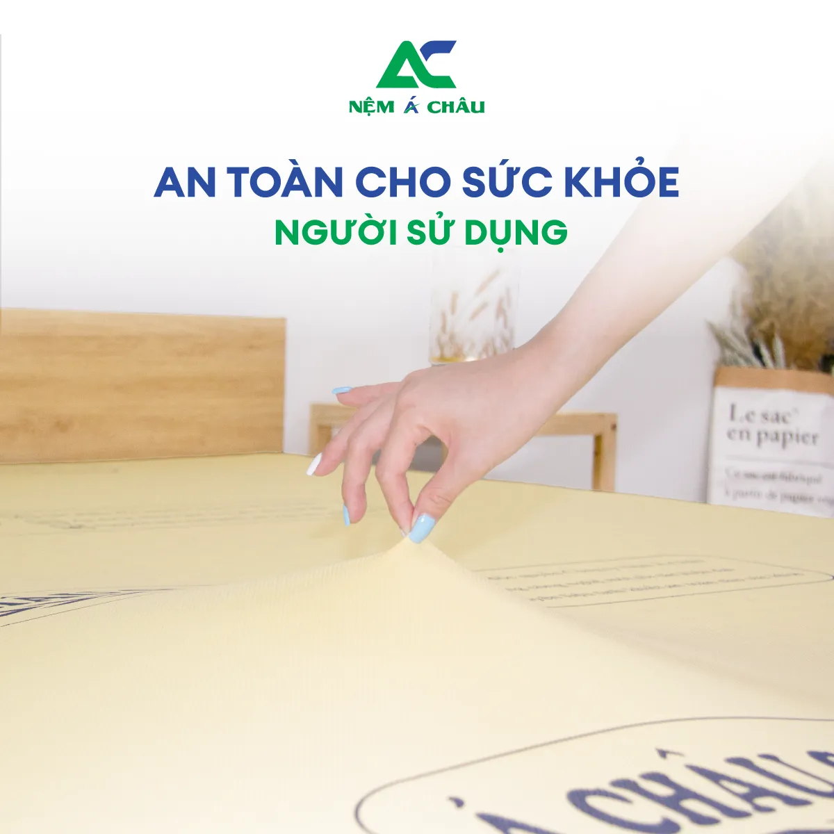 Chi tiết sản phẩm - Nệm Foam Á Châu Special 1