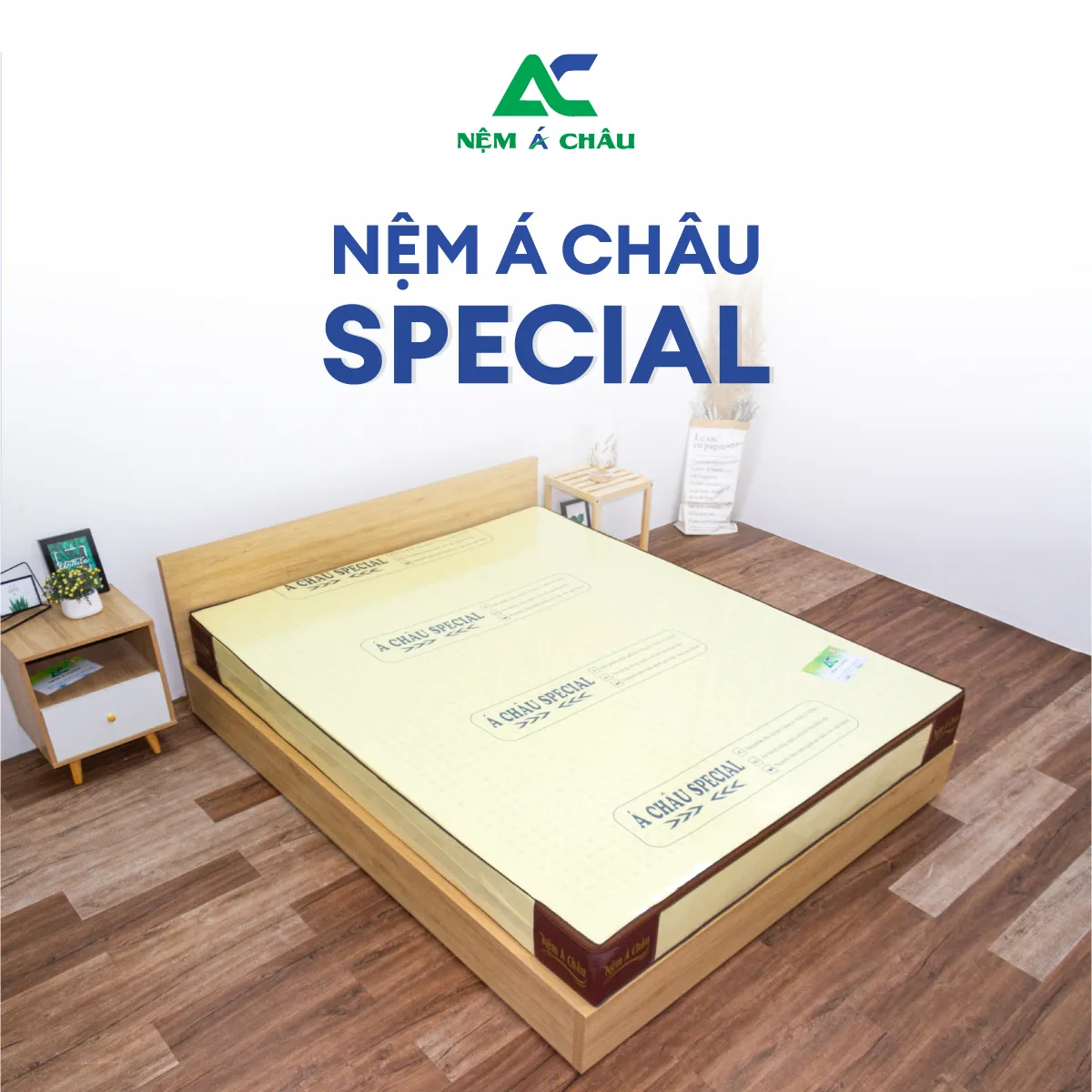 Chi tiết sản phẩm - Nệm Foam Á Châu Special 5
